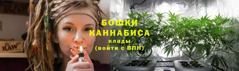 наркотики  Ревда  Конопля конопля 